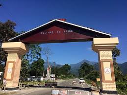 Roing