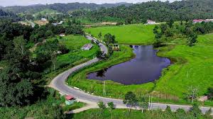 Thenzawl