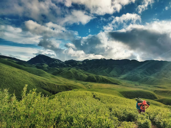 Soothing Landscapes