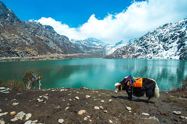 Gangtok & Nathula Pass